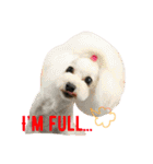 ぷりと愉快な仲間たち（個別スタンプ：32）