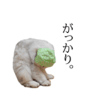 貫録！白猫ペルシャのイチゴさん～挨拶～（個別スタンプ：26）