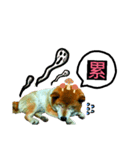 cuty doggy comming（個別スタンプ：2）