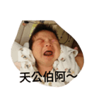 kei chang（個別スタンプ：7）
