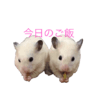 ハムハム兄弟 スタンプ（個別スタンプ：8）