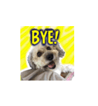 Marky the Doggy（個別スタンプ：2）