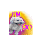Marky the Doggy（個別スタンプ：8）