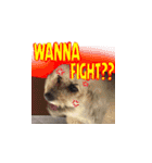 Marky the Doggy（個別スタンプ：15）