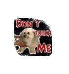 Marky the Doggy（個別スタンプ：20）