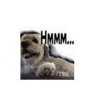 Marky the Doggy（個別スタンプ：24）