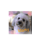 Marky the Doggy（個別スタンプ：38）