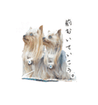 ワクワクヨーキー②（個別スタンプ：3）