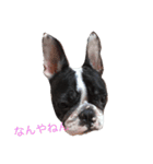 ふれぶる マリ 2（個別スタンプ：1）