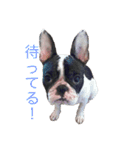 ふれぶる マリ 2（個別スタンプ：13）
