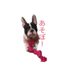 ふれぶる マリ 2（個別スタンプ：14）
