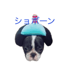 ふれぶる マリ 2（個別スタンプ：19）