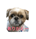 iine！maruchan（個別スタンプ：2）