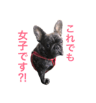 フレブル はなさん。（個別スタンプ：16）