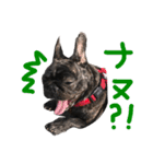 フレブル はなさん。（個別スタンプ：22）