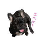 フレブル はなさん。（個別スタンプ：23）