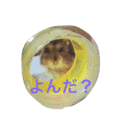 小さな幸せ My Favorite Things（個別スタンプ：11）