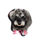 まりもと愉快な仲間たち（個別スタンプ：4）