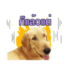 jedi the dog（個別スタンプ：5）