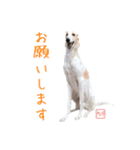 ちっぽけボルゾイ、きな子。（個別スタンプ：5）