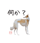 ちっぽけボルゾイ、きな子。（個別スタンプ：8）