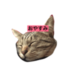 ミミルカ（個別スタンプ：2）