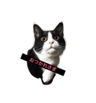 ミミルカ（個別スタンプ：3）