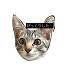 ミミルカ（個別スタンプ：4）