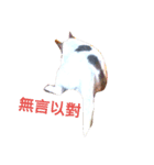 Just Dog（個別スタンプ：5）