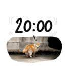 Funaking dogs（個別スタンプ：10）