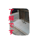 Funaking dogs（個別スタンプ：21）