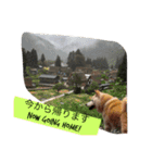 Funaking dogs（個別スタンプ：24）