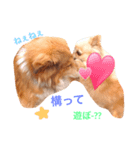 ラブ ペット（個別スタンプ：2）