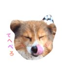 ラブ ペット（個別スタンプ：7）
