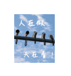 Interesting Image＆Word（個別スタンプ：2）