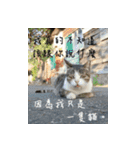 Interesting Image＆Word（個別スタンプ：7）
