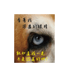 Interesting Image＆Word（個別スタンプ：9）