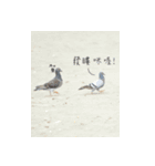 Interesting Image＆Word（個別スタンプ：10）