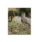 Interesting Image＆Word（個別スタンプ：11）