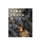 Interesting Image＆Word（個別スタンプ：12）