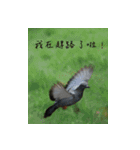 Interesting Image＆Word（個別スタンプ：14）