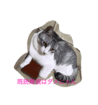 ベルくんだい！（個別スタンプ：3）