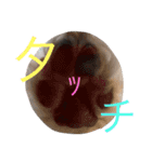 石井 ティム家族（個別スタンプ：7）