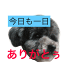 石井 ティム家族（個別スタンプ：10）