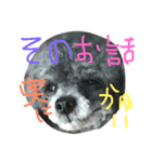 石井 ティム家族（個別スタンプ：12）