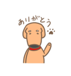 まぬ犬（個別スタンプ：1）