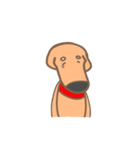 まぬ犬（個別スタンプ：13）