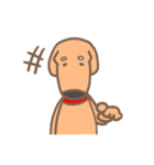 まぬ犬（個別スタンプ：19）