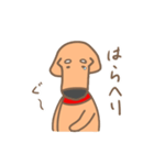 まぬ犬（個別スタンプ：40）
