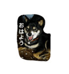 Scoco（個別スタンプ：2）